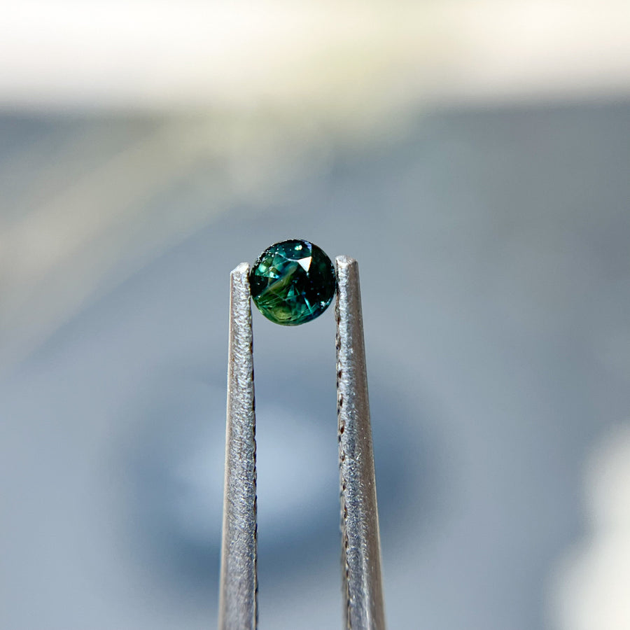 Parti Color Australian Sapphire - 1216