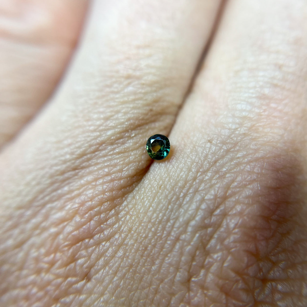 Parti Color Australian Sapphire - 1217