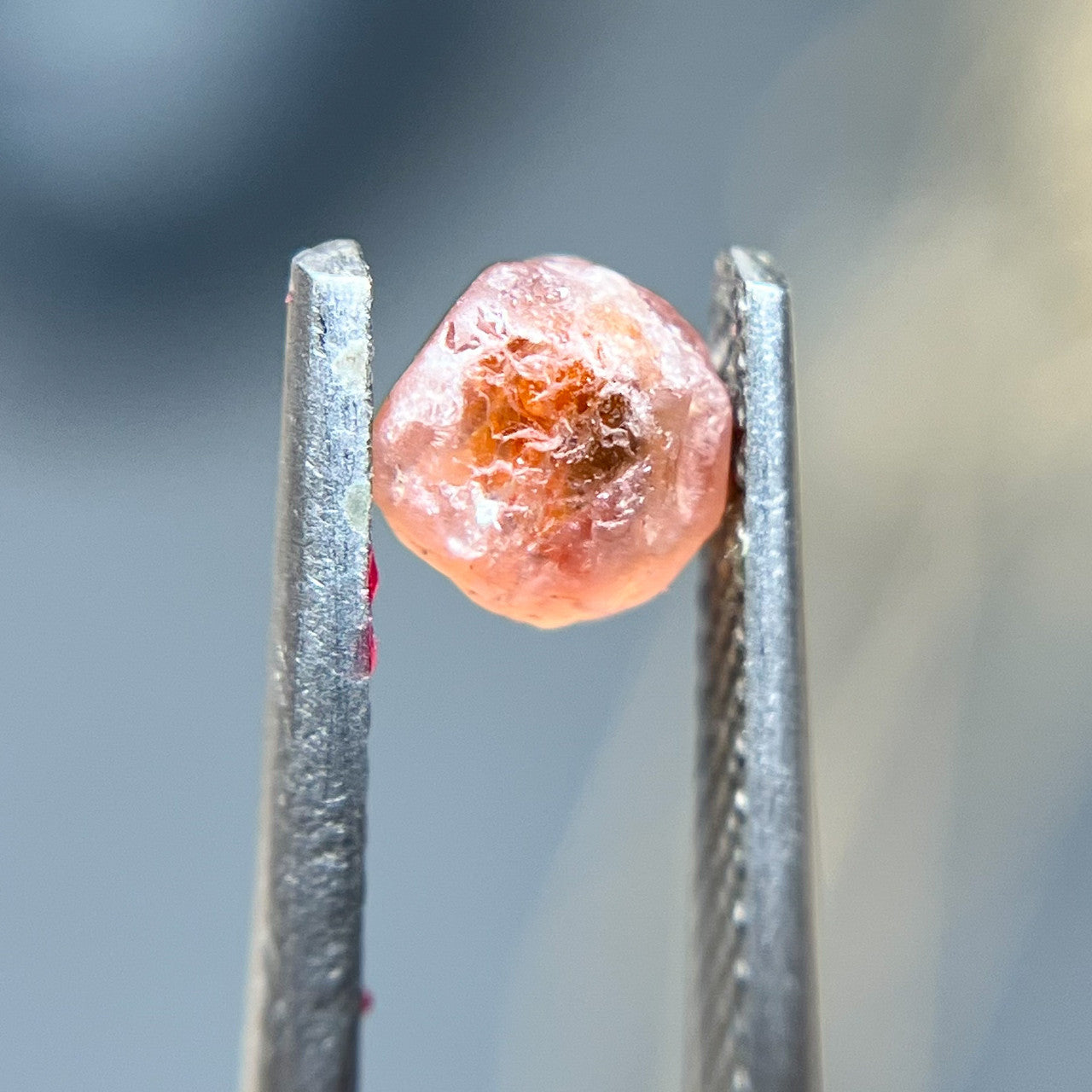 Uncut Pink Montana Sapphire