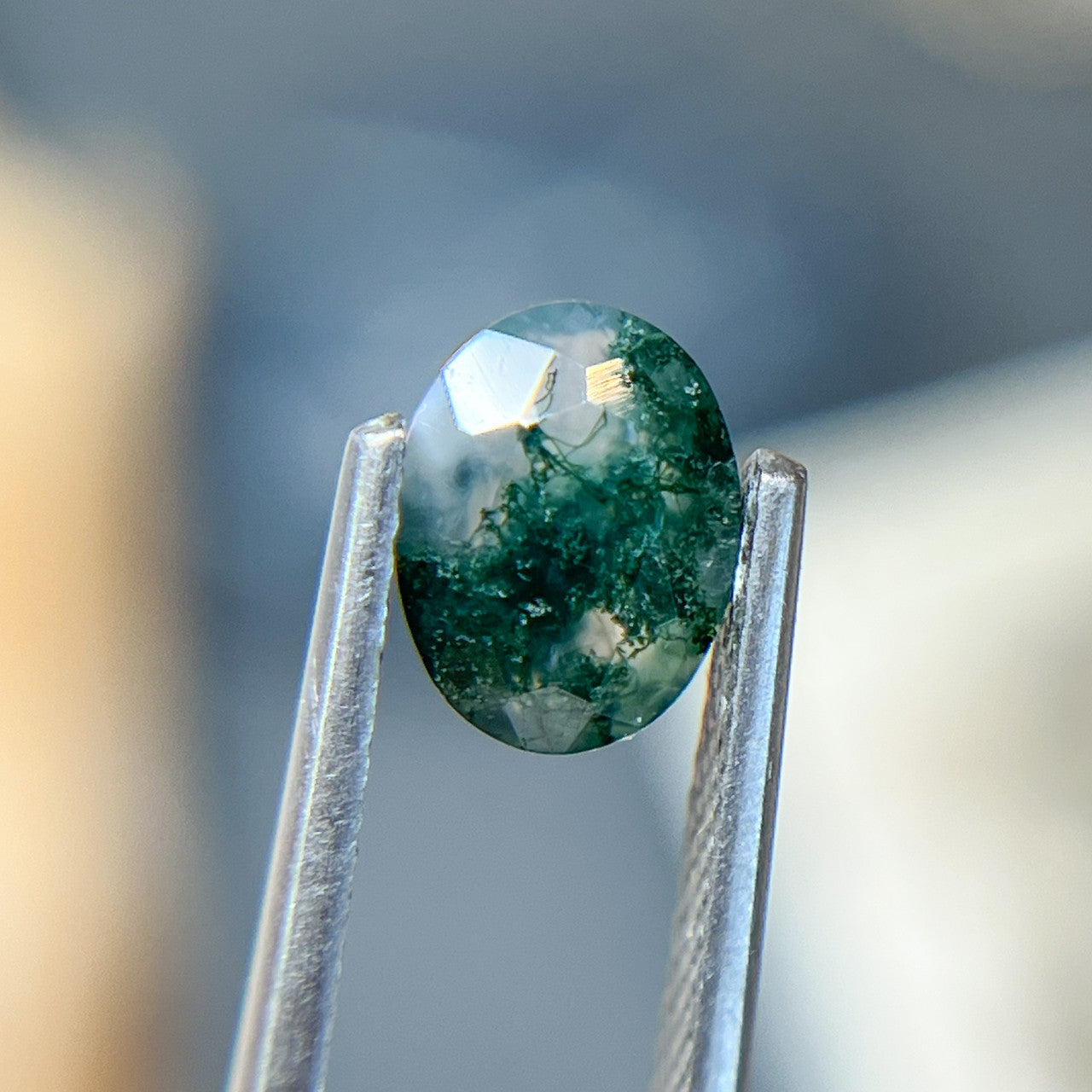 Oval Brilliant Cut Moss Agate - 1256