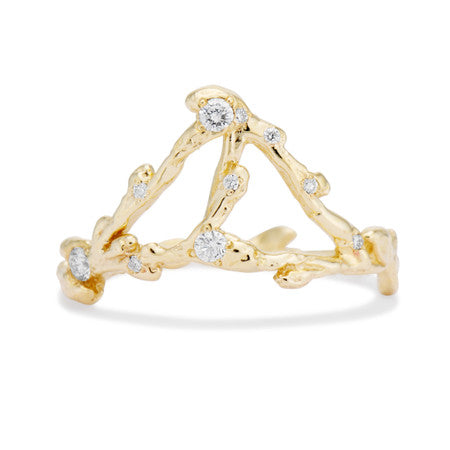 Aquarius Zodiac Constellation Ring