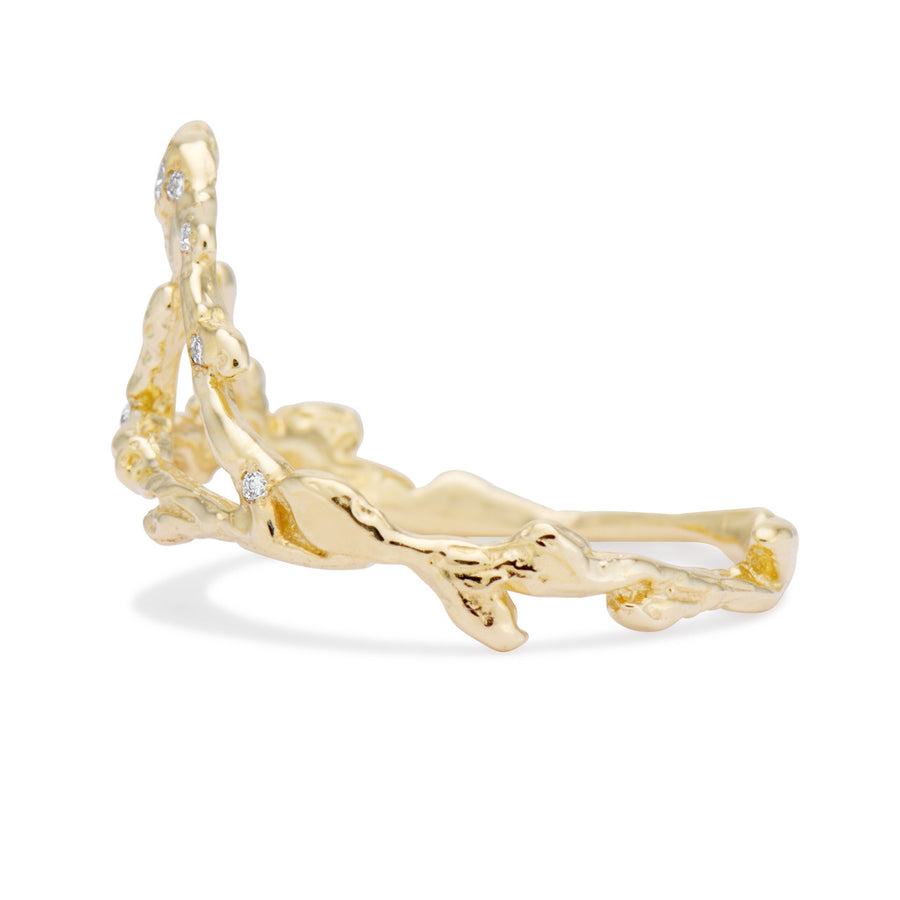 Aquarius Zodiac Constellation Ring