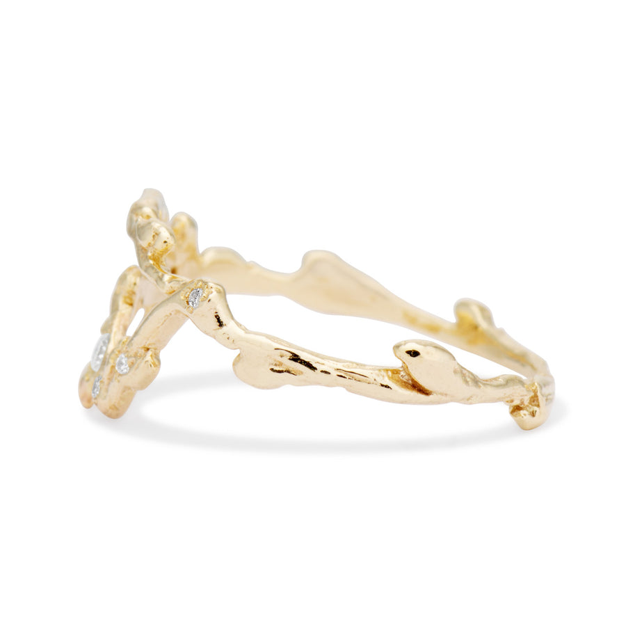 Taurus Zodiac Constellation Ring