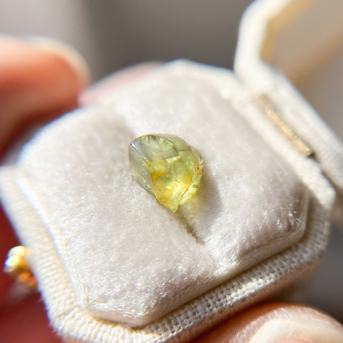 Organically Faceted Parti Color Yellow Green Australian Sapphire