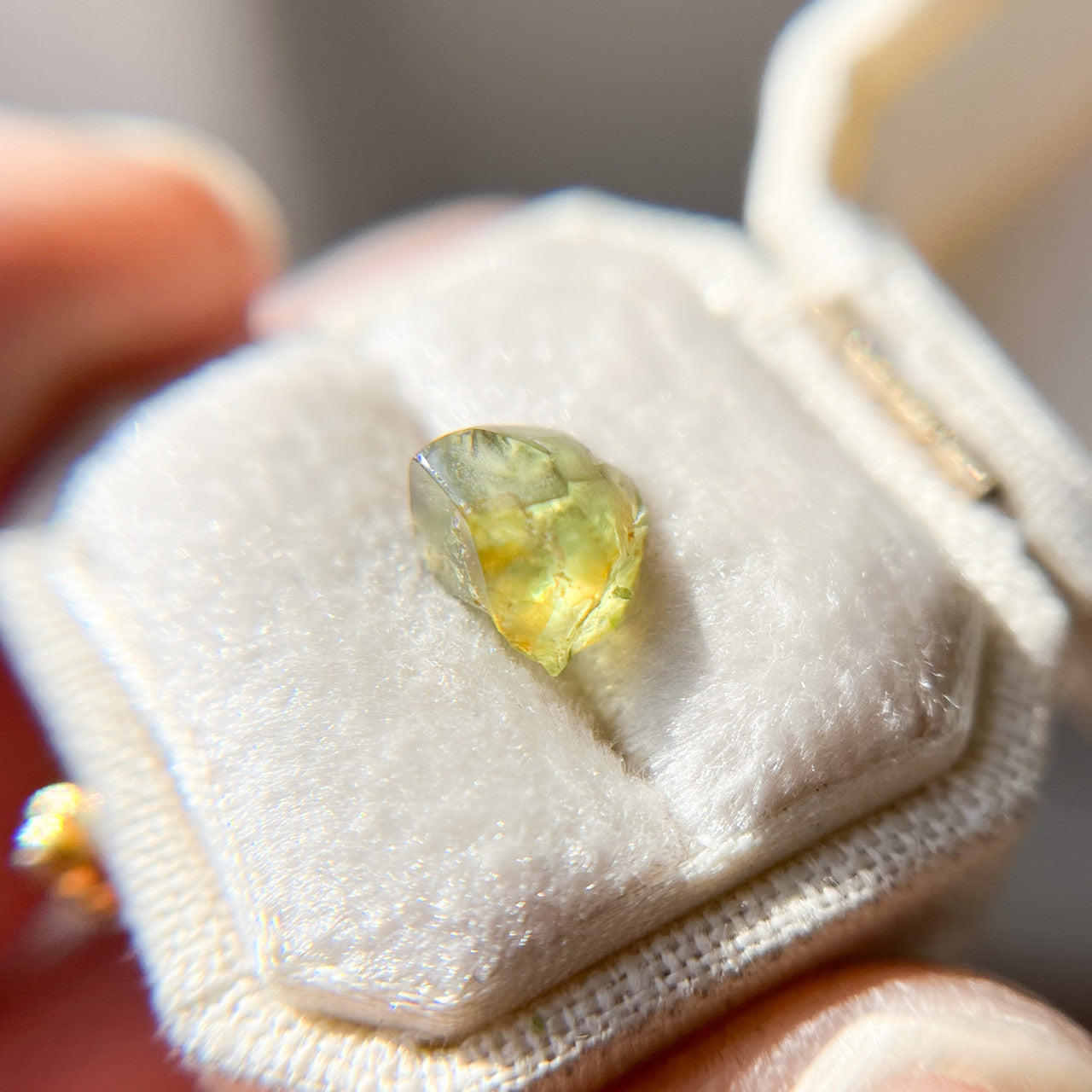 Organically Faceted Parti Color Yellow Green Australian Sapphire