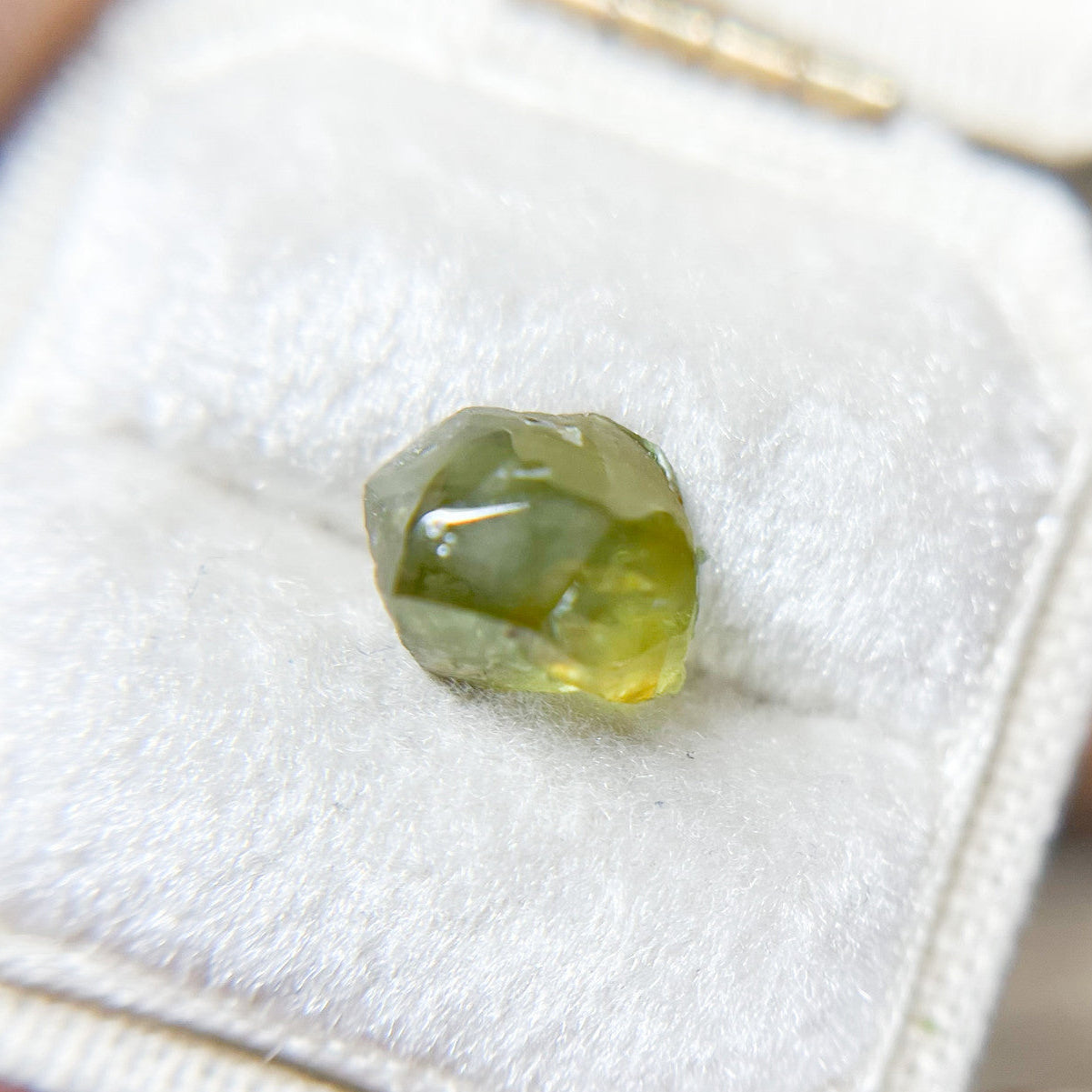 Organically Faceted Parti Color Yellow Green Australian Sapphire