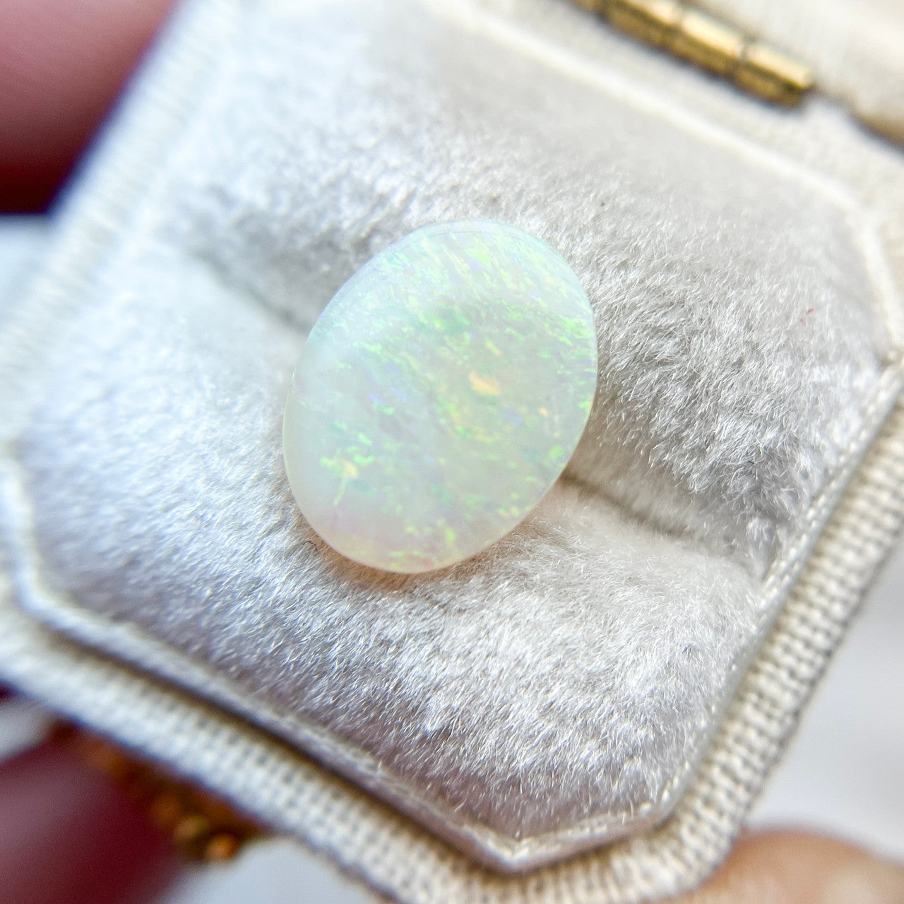 Australian Oval White Opal