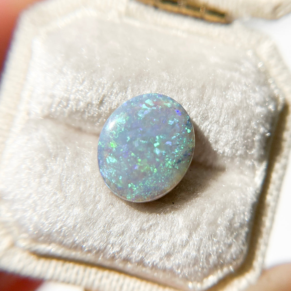 Australian Oval Dark Black Opal