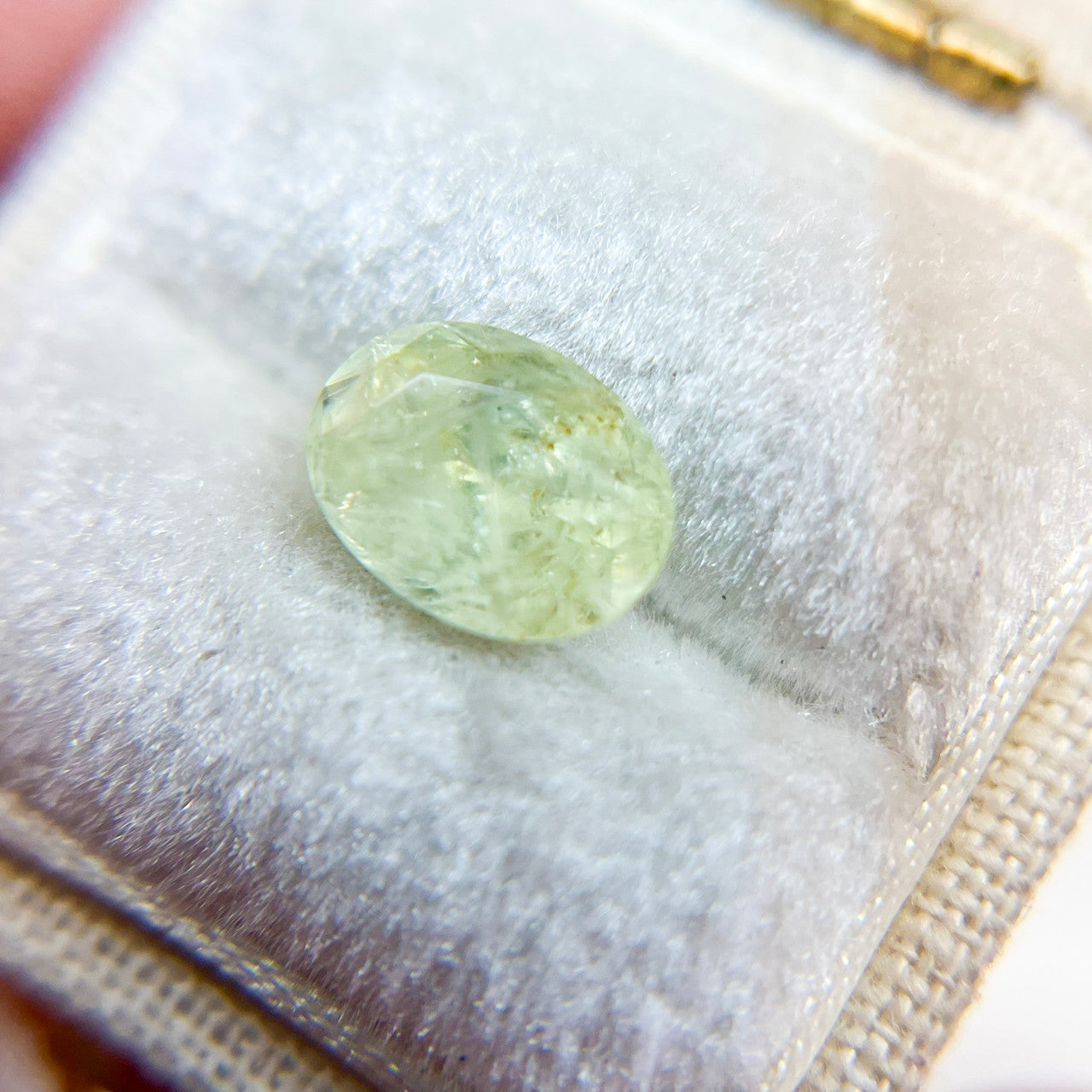 Light Yellow Green Oval Montana Sapphire