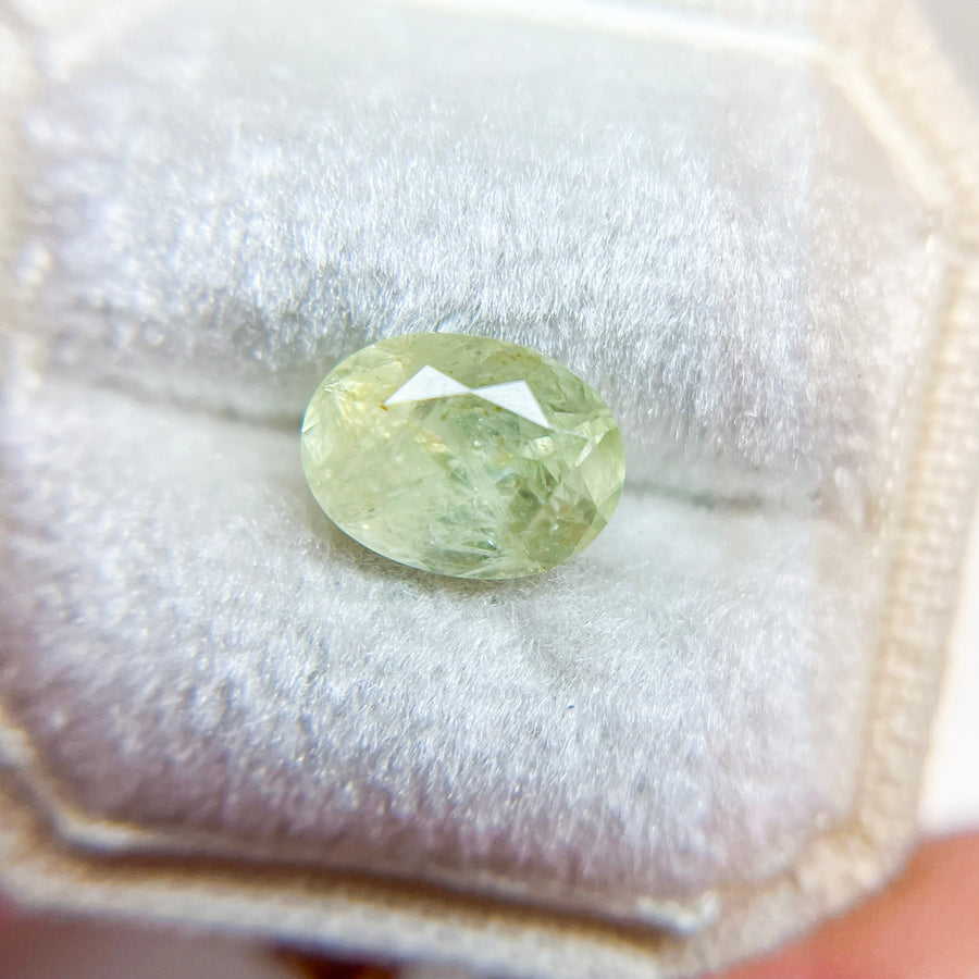 Light Yellow Green Oval Montana Sapphire