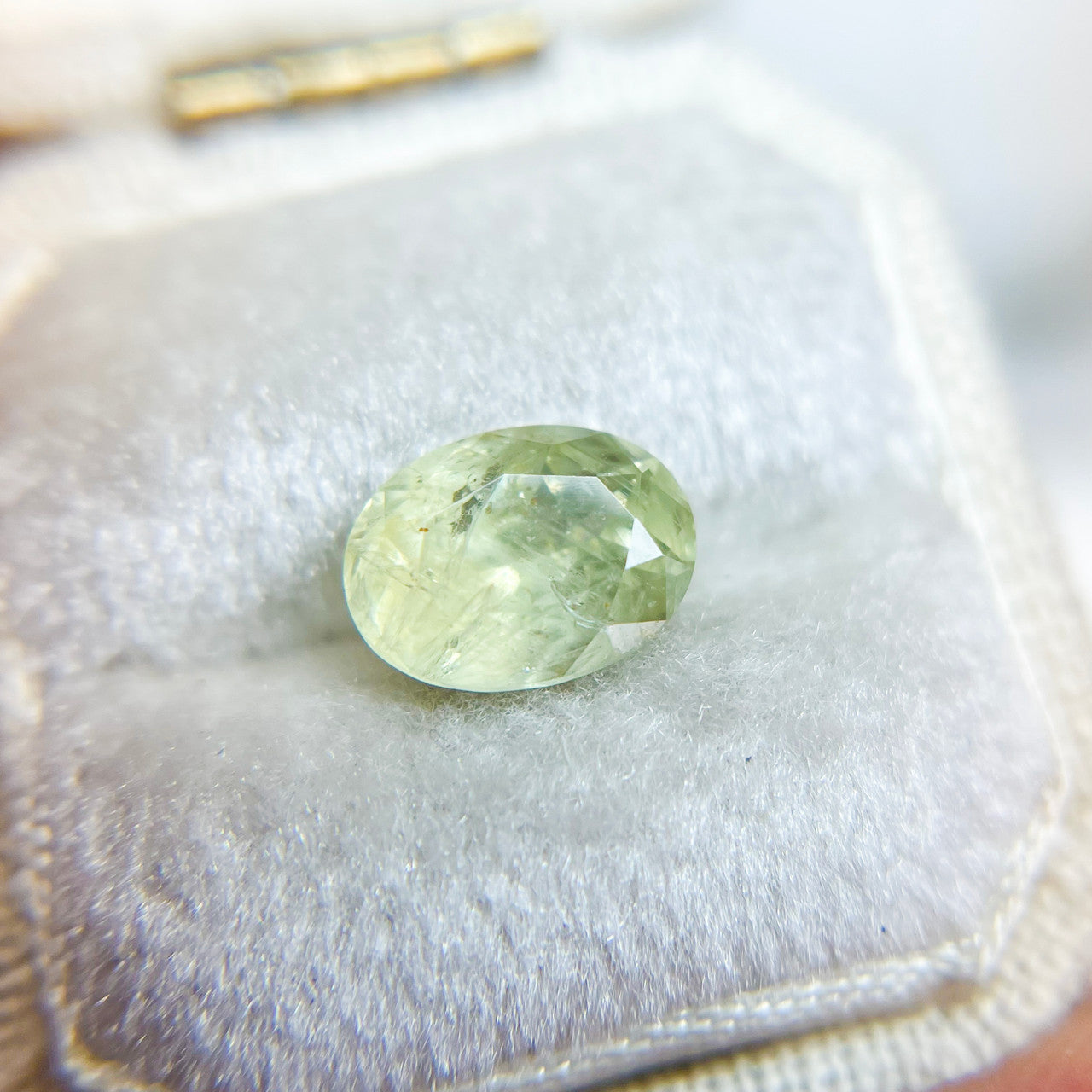 Light Yellow Green Oval Montana Sapphire