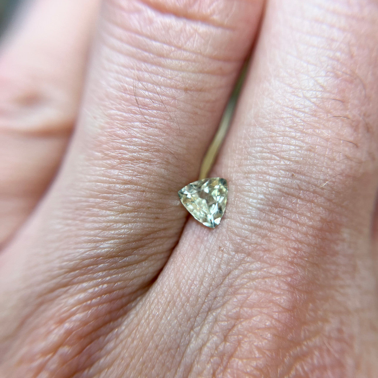 Pale Green Trillion Cut Montana Sapphire