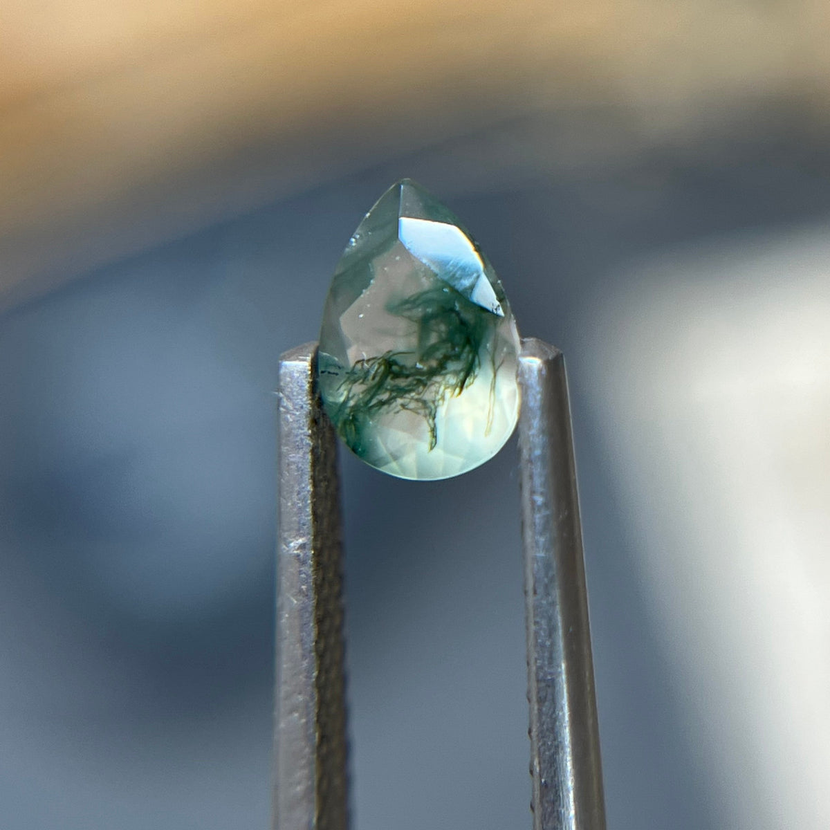 Pear Moss  Agate