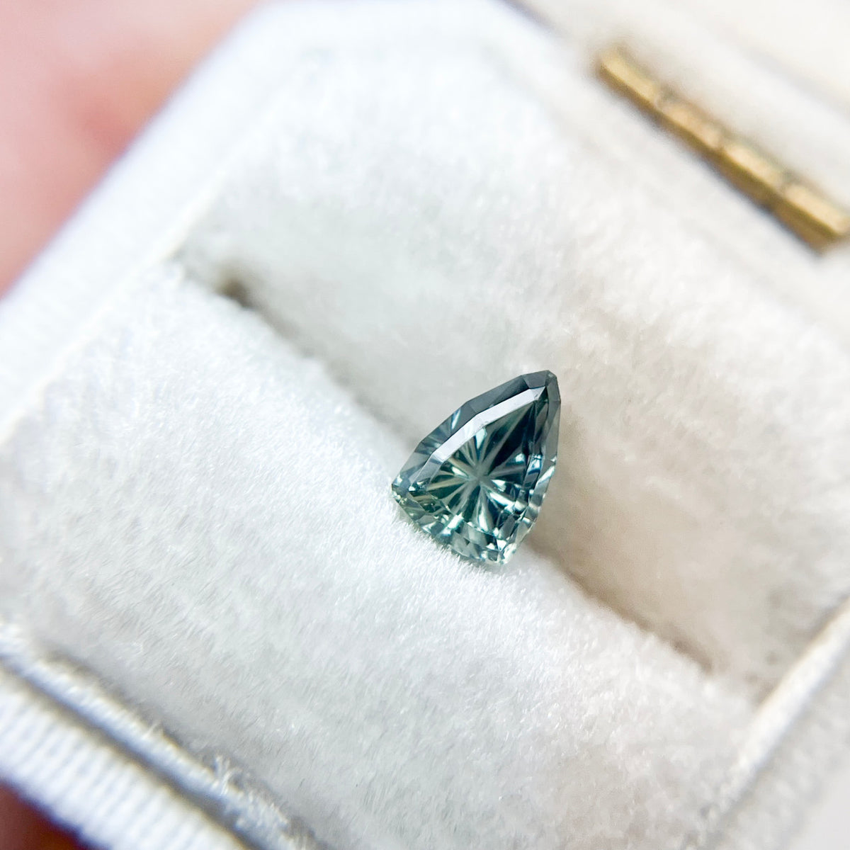 Parti Color Shield Australian Sapphire Starbrite™ Cut by John Dyer
