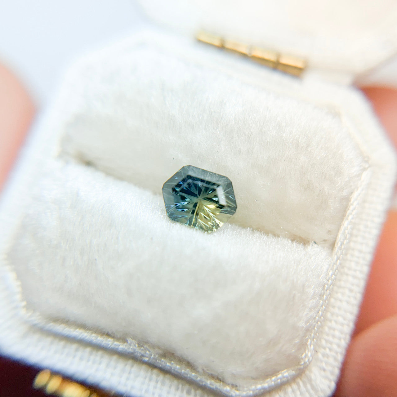 Parti Color Golden Navy Australian Sapphire Starbrite™ Cut by John Dyer