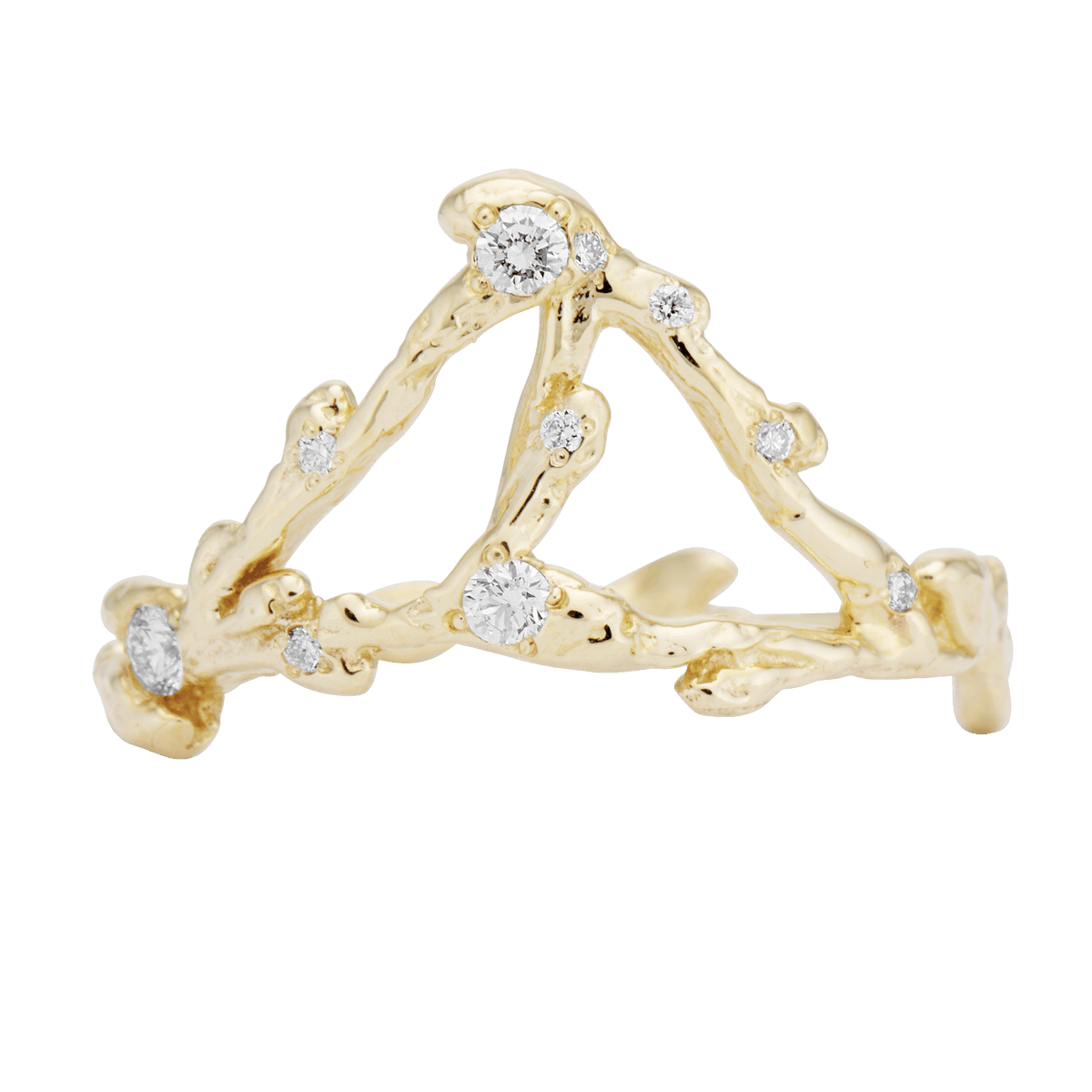 Aquarius Zodiac Constellation Ring