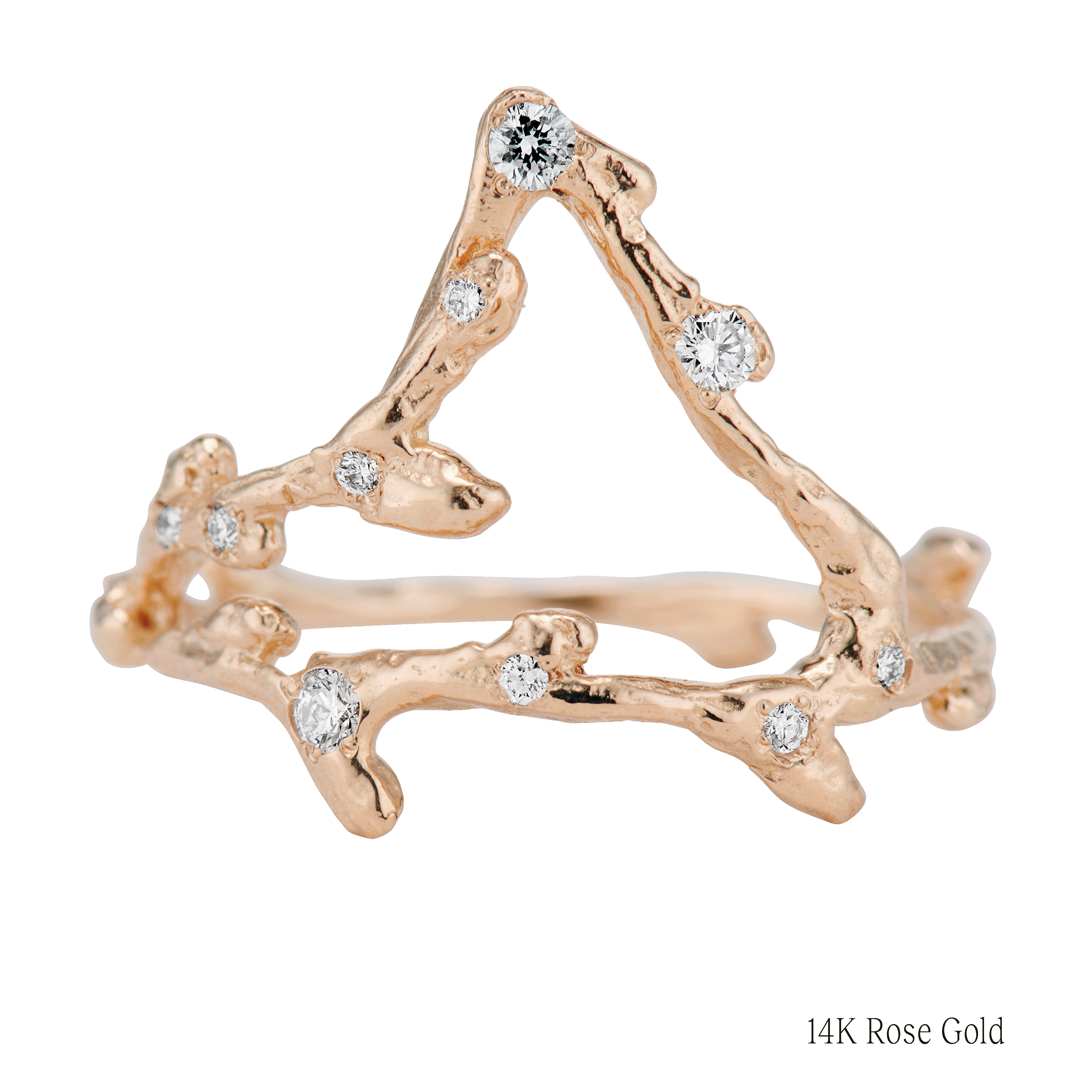 Capricorn Zodiac Constellation Ring