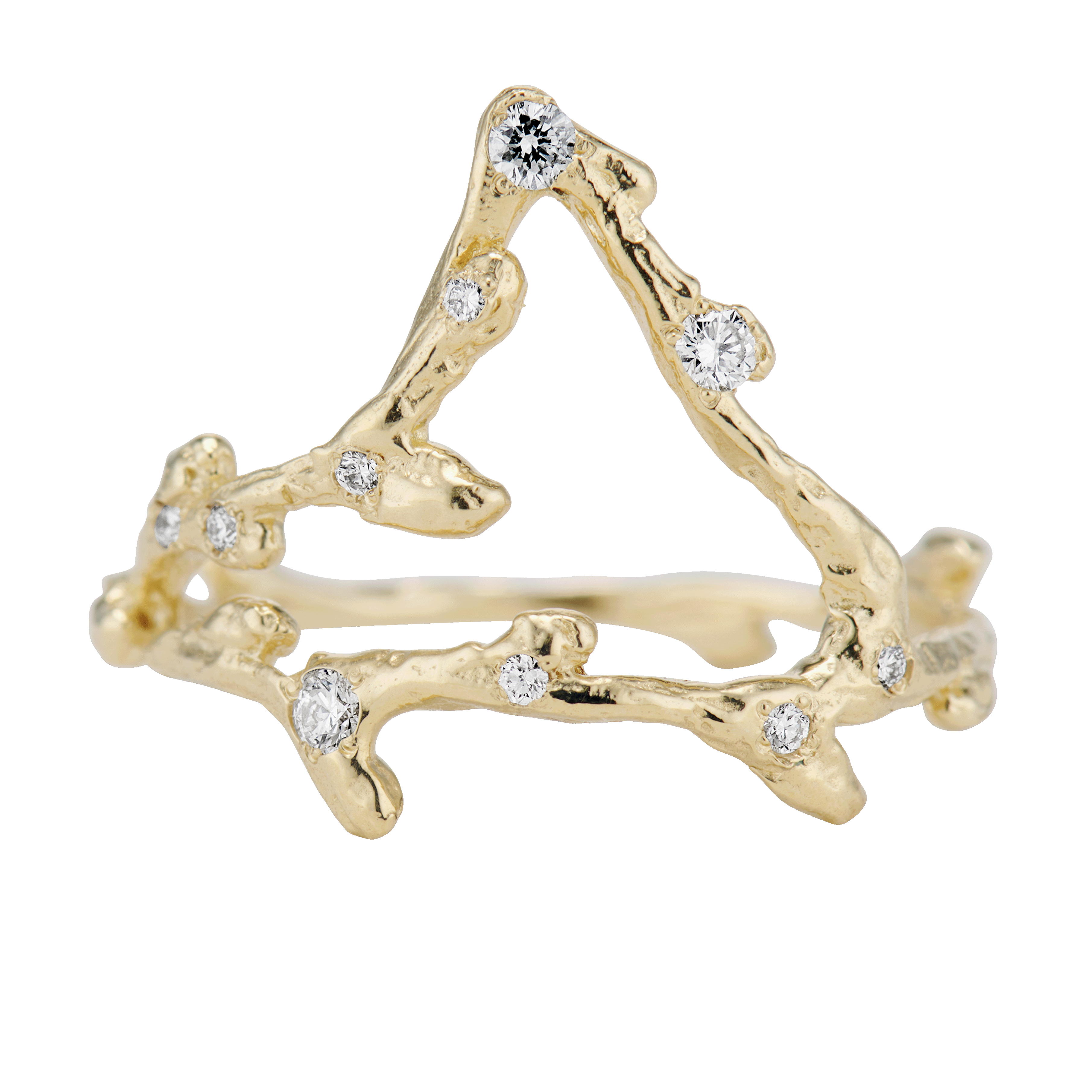 Capricorn Zodiac Constellation Ring