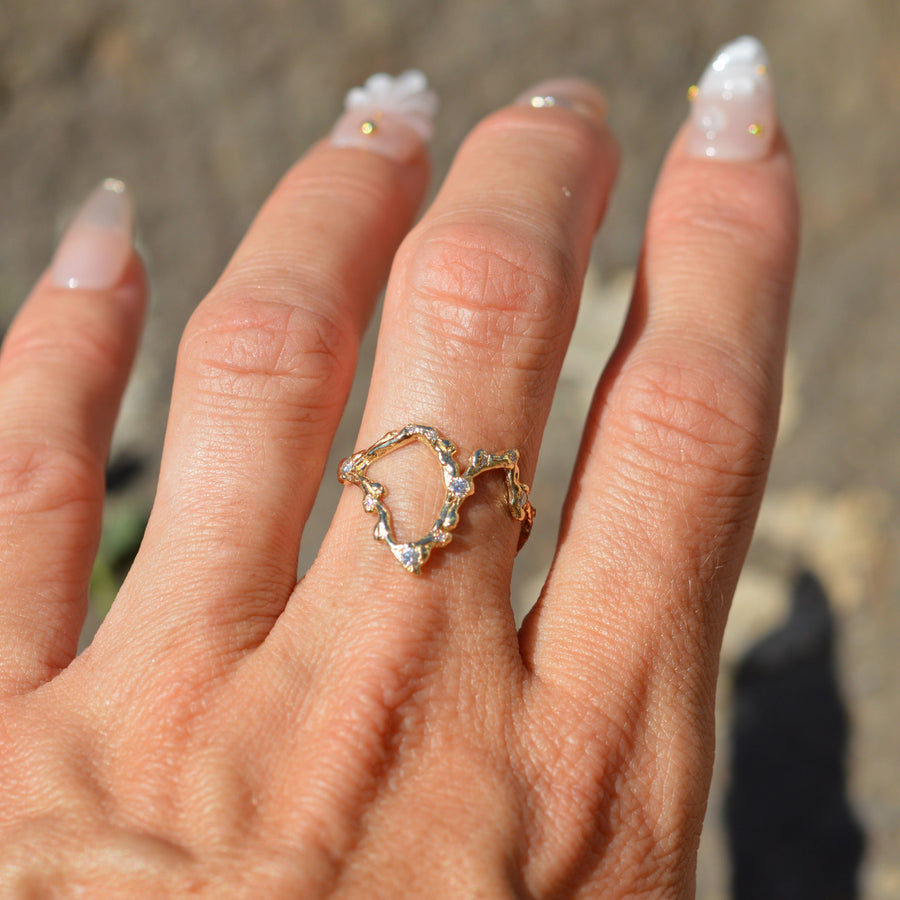 Leo Zodiac Constellation Ring