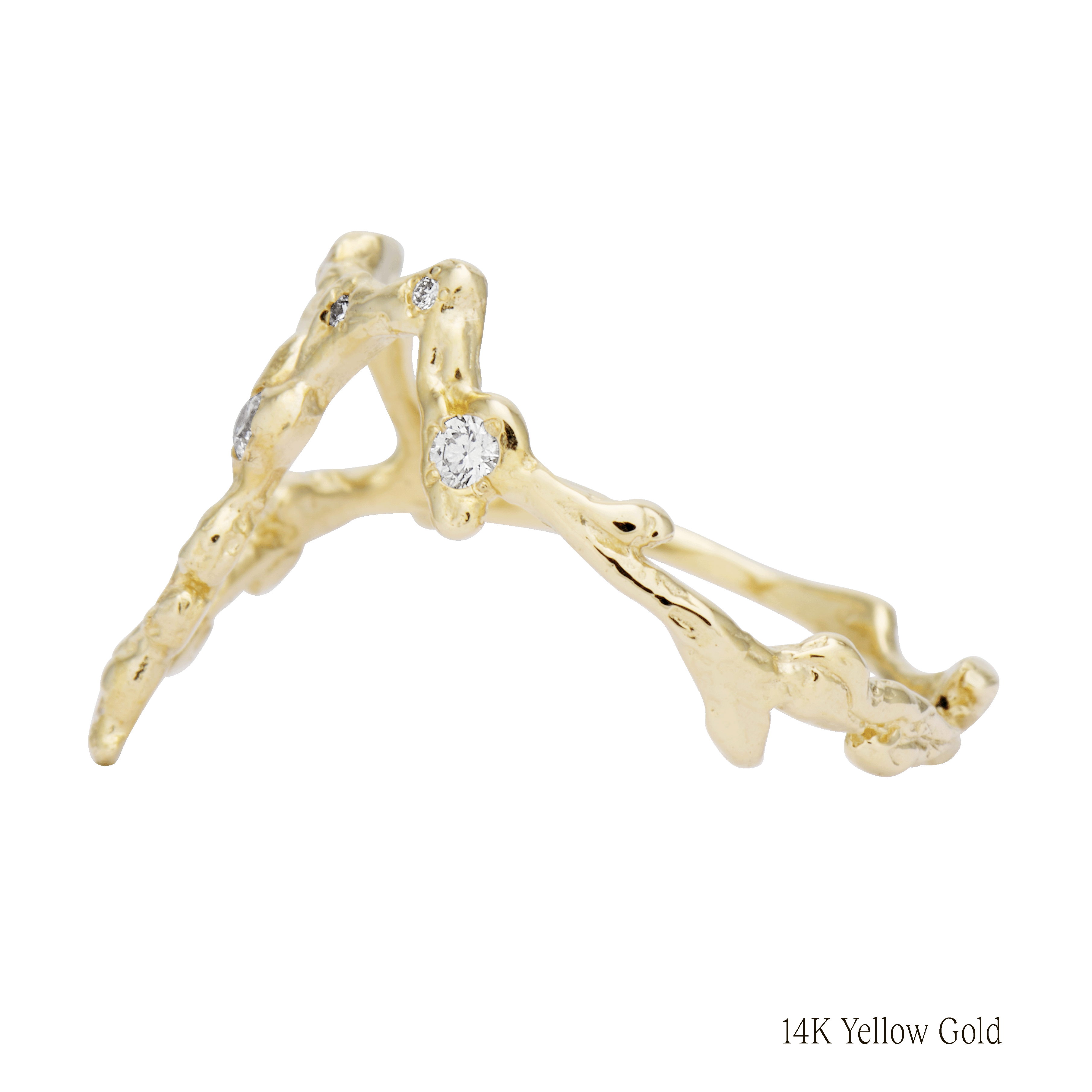 Leo Zodiac Constellation Ring