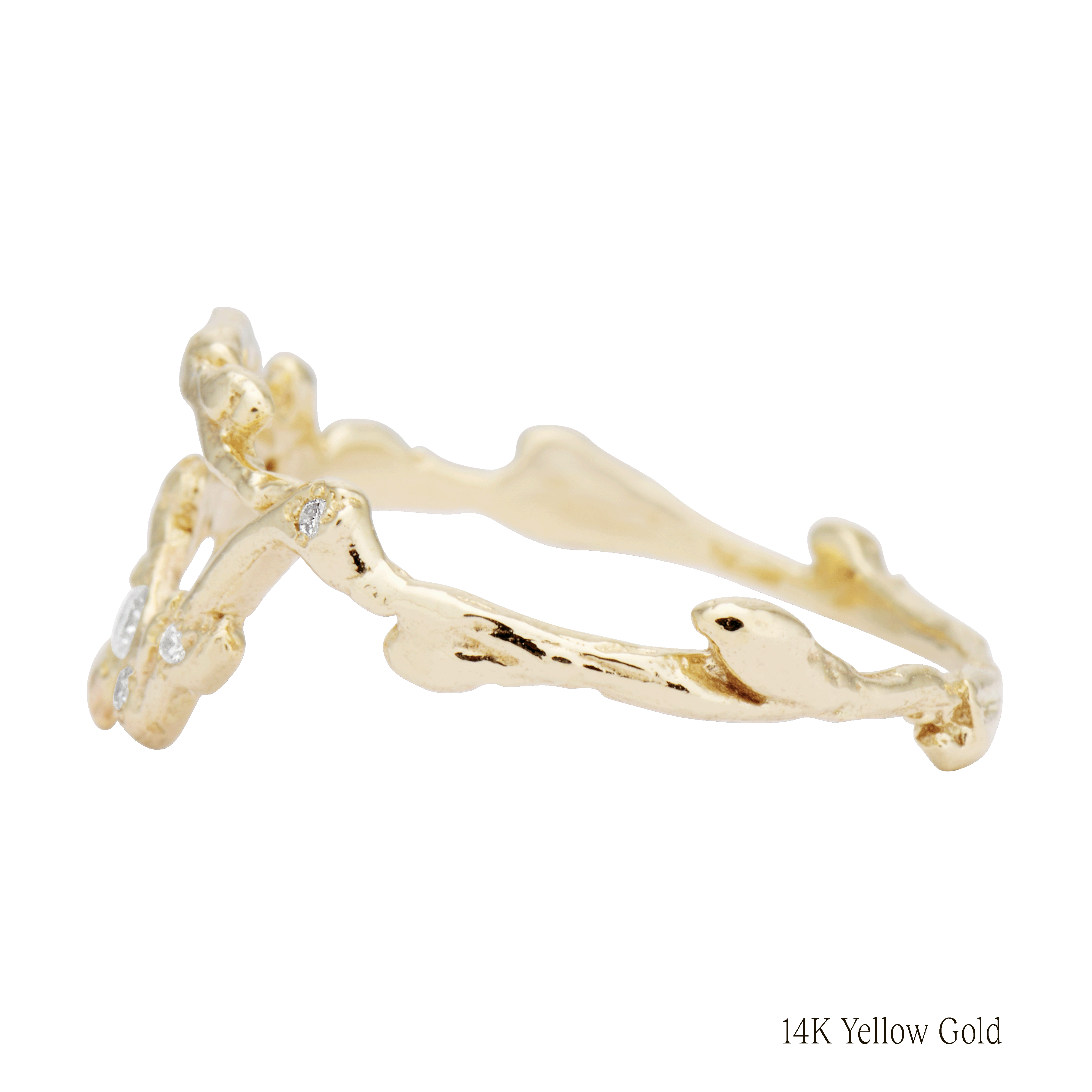 Taurus Zodiac Constellation Ring