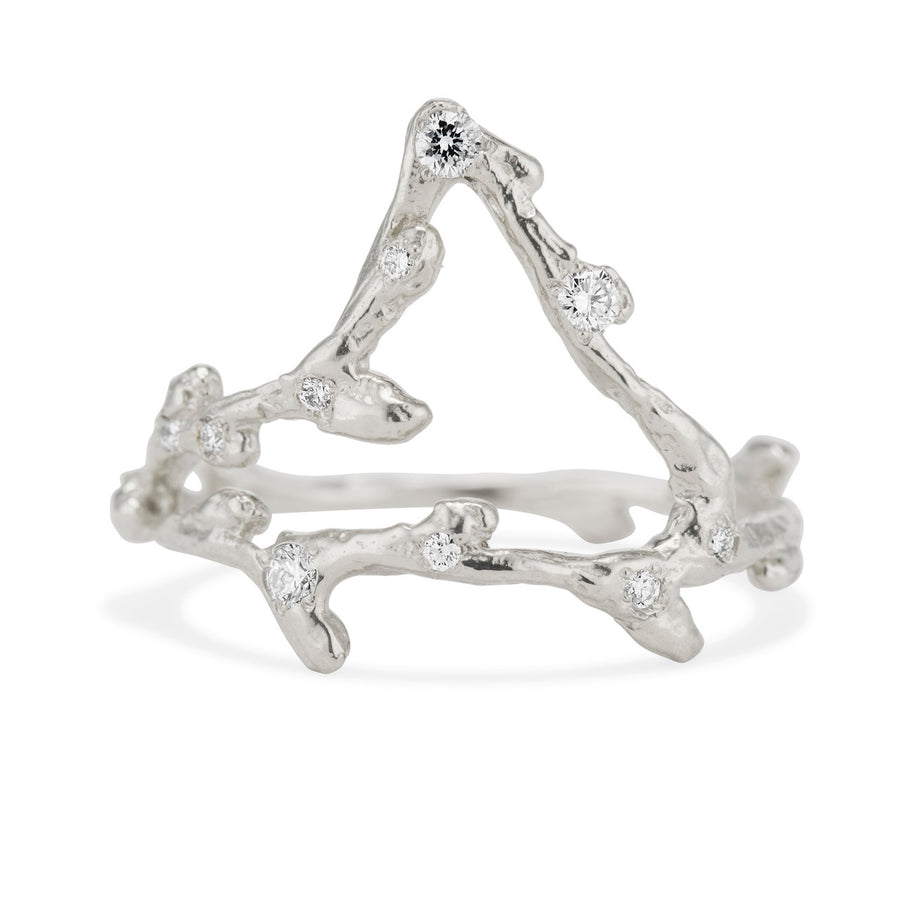 Capricorn Zodiac Constellation Ring