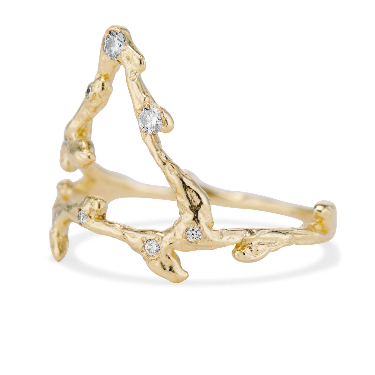 Capricorn Zodiac Constellation Ring