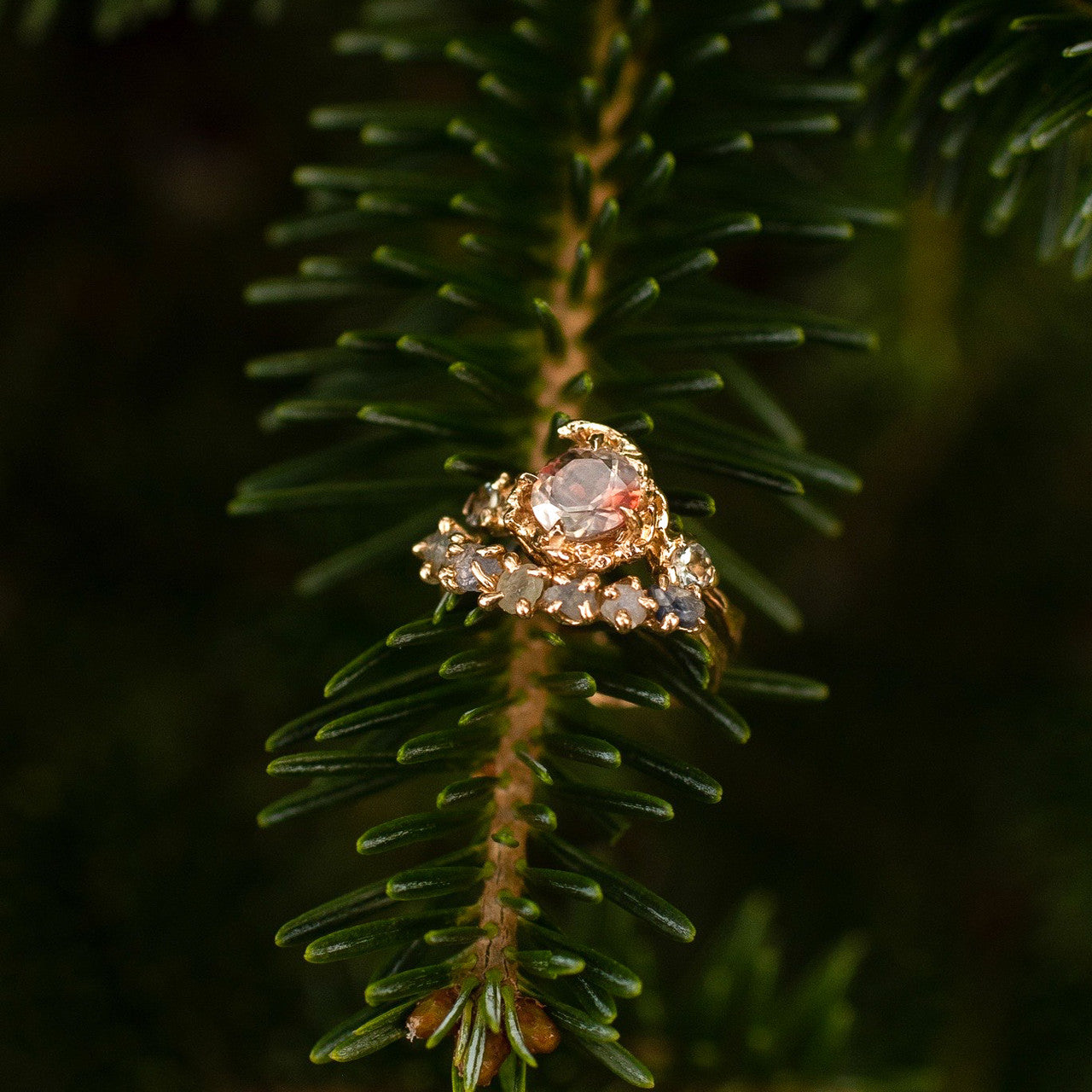 14K Yellow Gold Garland Montana Sapphire Contour Ring by Olivia Ewing Jewelry 